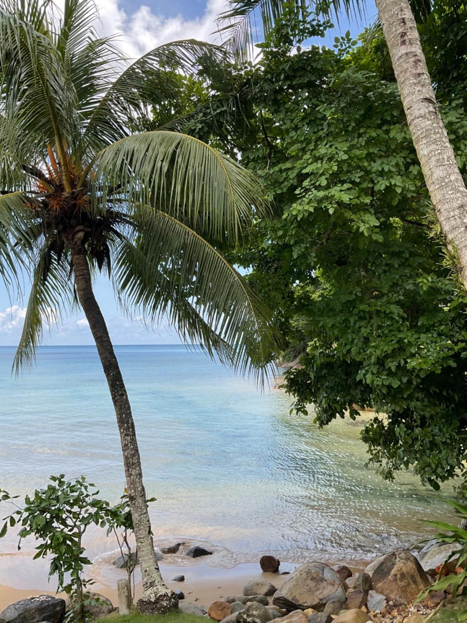 Abc Chalet Tioman Kampong Ayer Batang エクステリア 写真