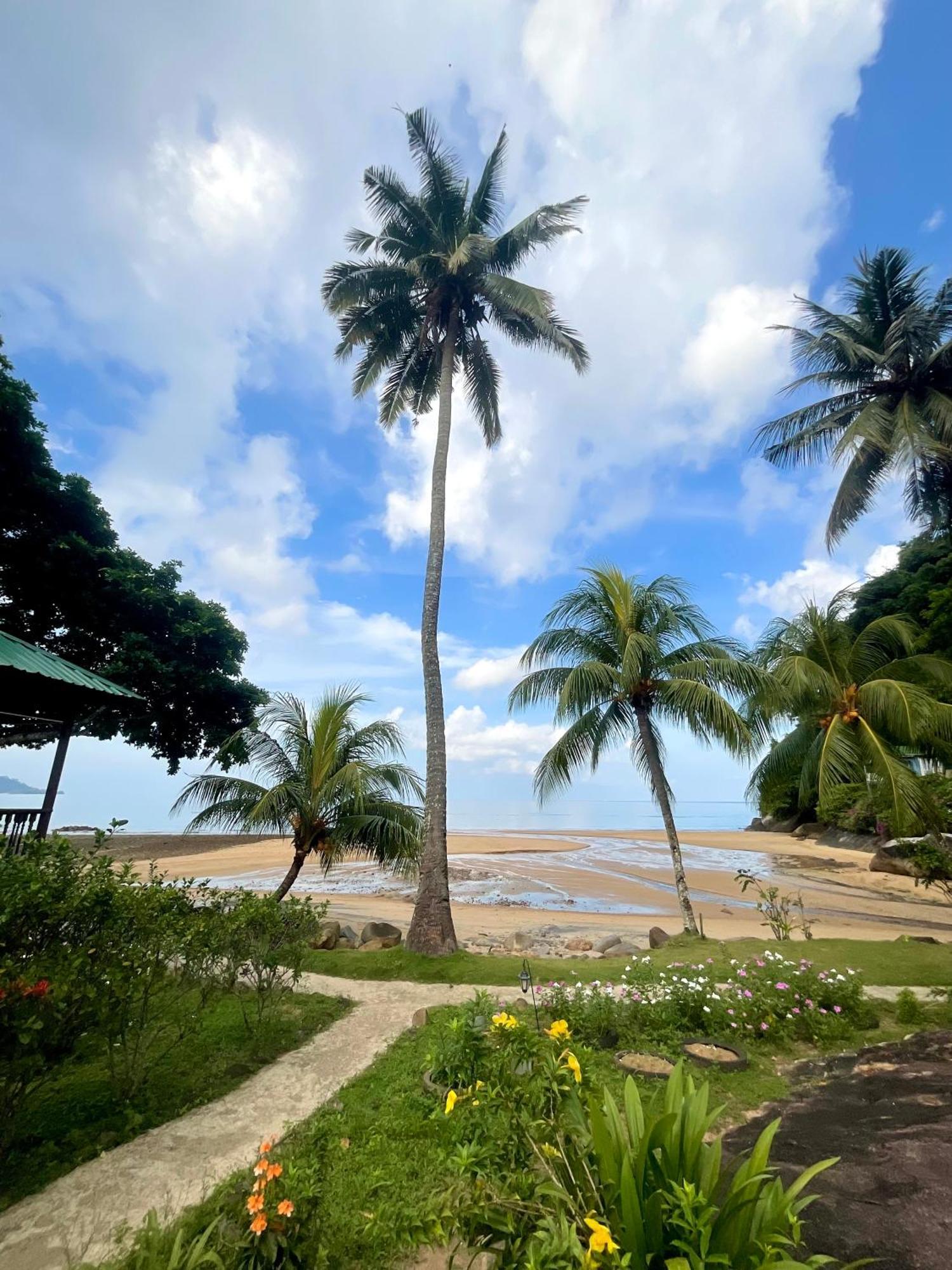 Abc Chalet Tioman Kampong Ayer Batang エクステリア 写真
