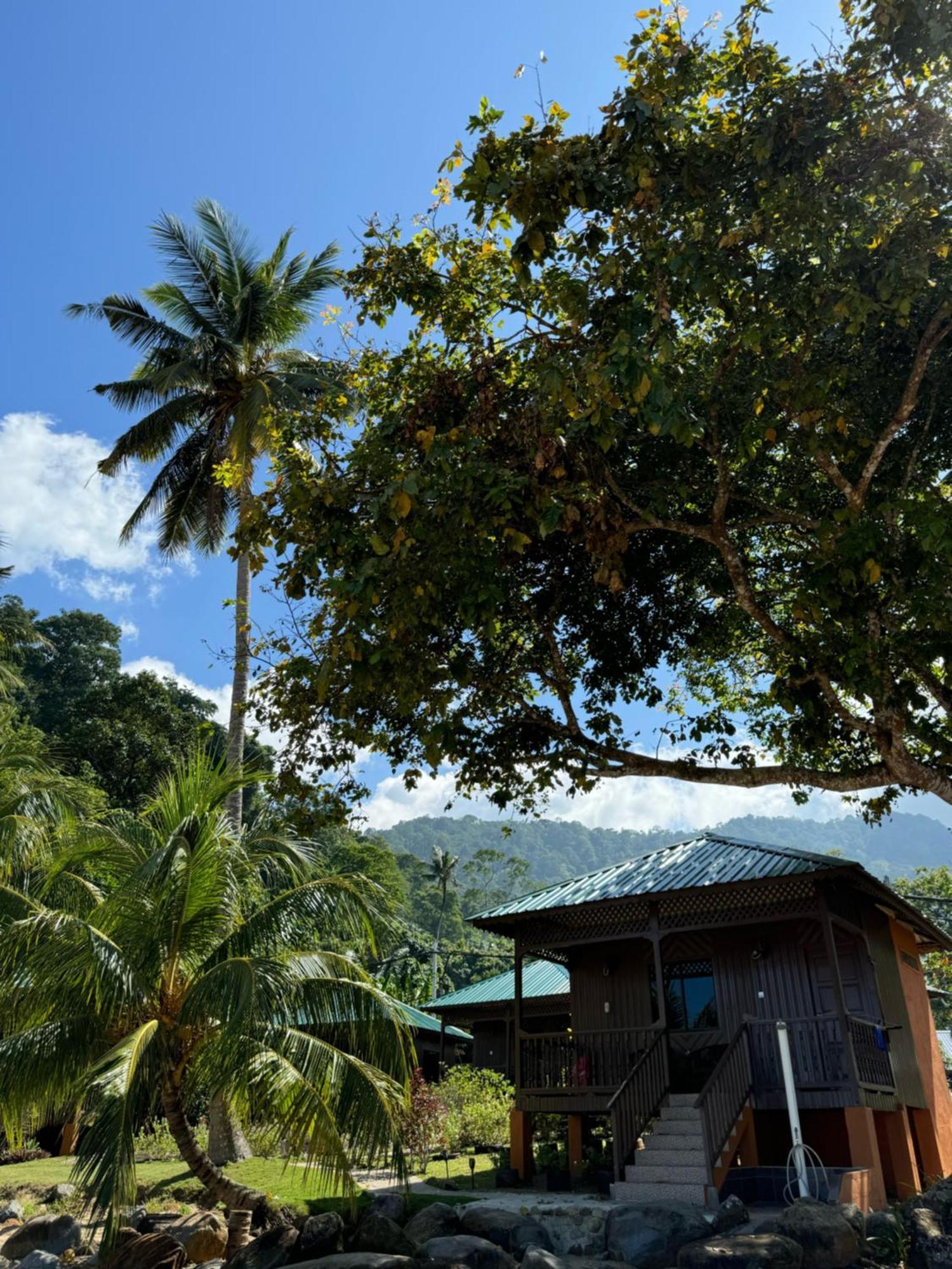 Abc Chalet Tioman Kampong Ayer Batang エクステリア 写真