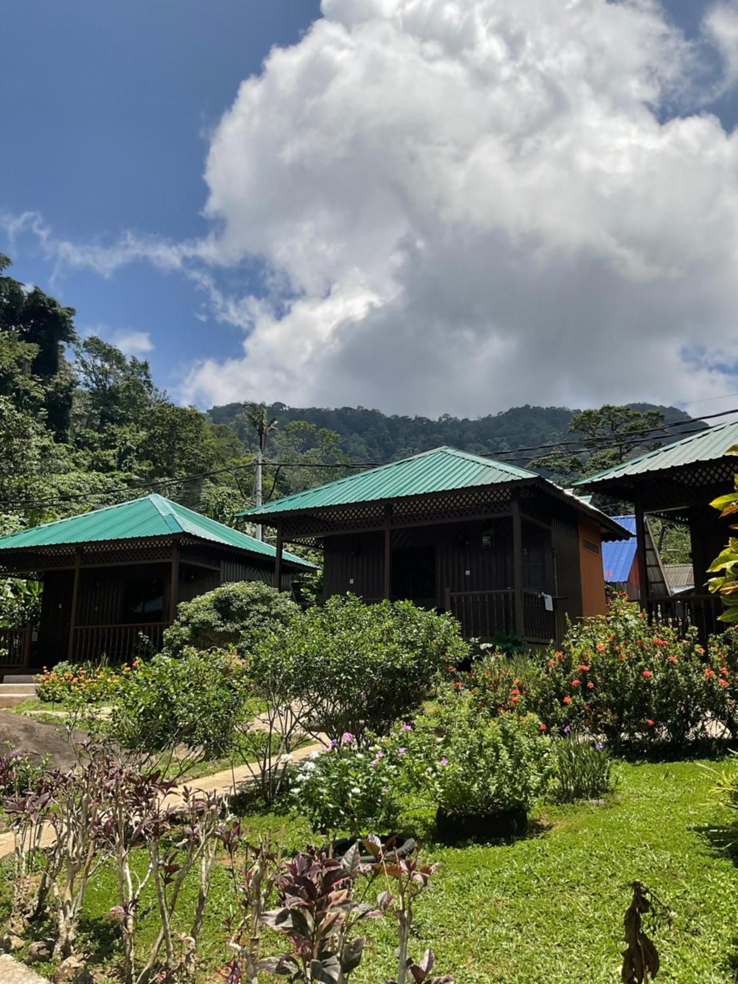 Abc Chalet Tioman Kampong Ayer Batang エクステリア 写真